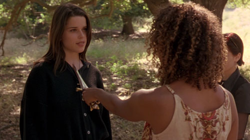 the craft