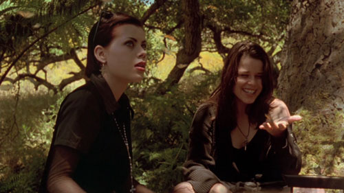 the craft