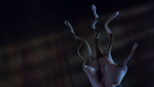 the craft