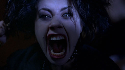 the craft