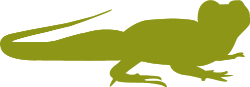 drawing of a waterdragon