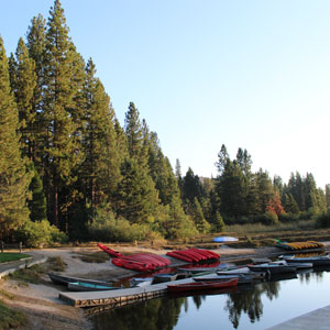 Trees surrounding Hume lake at sunrise.