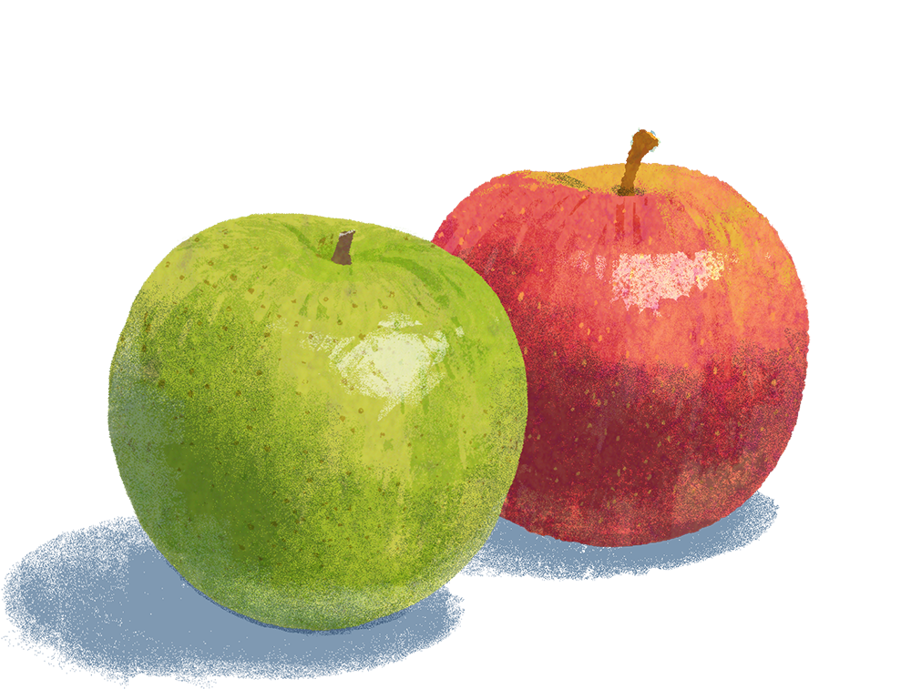 apple illustration