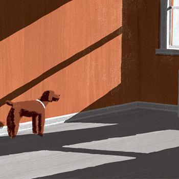dog in room illustration