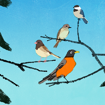 birds in tree illustration